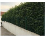 Cloture&jardin - Kit Grillage Rigide Vert 10M - jardimalin+ - Fil 4mm - Sur Platines - 0,63 mètre - Vert (ral 6005) 3117188233308 HPV10063