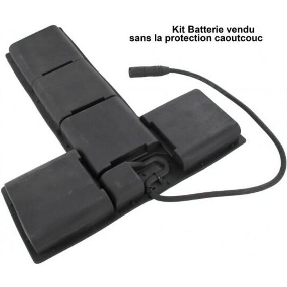 Kit batterie 48V pour secateur F3010 Electrocoup Infaco 3052350710488 3052350710488