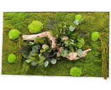 Flowerbed - Tableau végétal gamme nature, rectangle panoramique 20 x 70 cm 3760202800255 3760202800255