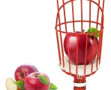 Cueille Fruits métallique avec Griffe, Outil de cueillette de Fruits métal, Outils de Jardinage pour récolte de Pommes, Agrumes, Poires, Pêches 6273997912081 Mano-JS-0269