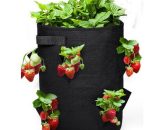 Sac de culture de fraises suspendu respirant Durable sacs de culture de plantation réutilisables sac de semis de jardin Jmax 9394822907427 JMG21975