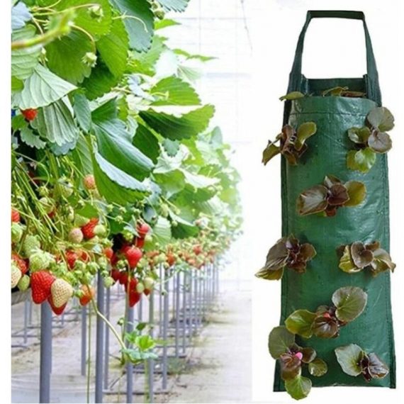 2pcs Sacs de culture de fraises 70*25cm Sac de fraises multi-bouche sac de plantation suspendu sac de plantation bac à fleur 9495446027383 9495446027383