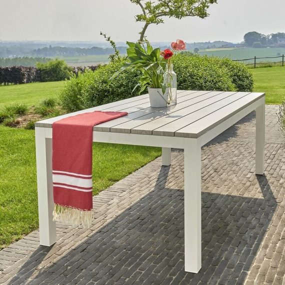 Table de jardin en aluminium blanc et gris 8 places - Blanc 3662251008180 5017