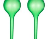 Elle - Lot de 2 ampoules d'arrosage pour plantes, abreuvoirs automatiques de 5 cm, système d'arrosage automatique (vert)  RA-031041