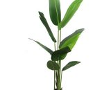 Exelgreen - Plante artificielle - Oiseau de paradis 150cm 3664881121567 3664881121567