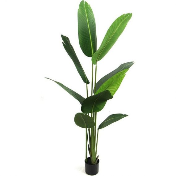 Exelgreen - Plante artificielle - Oiseau de paradis 150cm 3664881121567 3664881121567