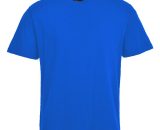 T-Shirt Premium Turin couleur : Bleu Royal taille xxl Portwest 5036108128129 B195RBRXXL