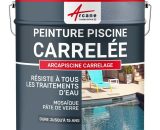 Arcane Industries - Peinture Piscine Carrelage Gris clair Piscine (Ral 7035) - 20 kg (jusqu'à 65m² pour 2 couches) - Gris clair Piscine (Ral 7035) 3700043497313 440_27766