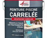 Arcane Industries - Peinture Piscine Carrelage Gris foncé Piscine (Ral 7001) - 5 kg (jusqu'à 15m² pour 2 couches) - Gris foncé Piscine (Ral 7001) 3700043497344 440_27769