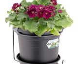 Elho - Jardinière ronde pot de fleur Noir 2,5L bac à fleurs en plastique pour jardin terrasse décoration 8711904150808 193661