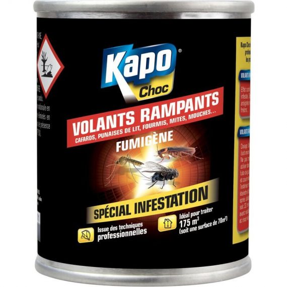 Kapo - Fumigène spécial infestation tous insectes 60g 3365000031346 3134