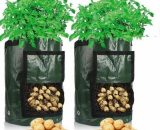 Beichen - 2pcs Sac de culture de pommes de terre 35*50cm Sac de culture de plantes Pot de culture de légumes Sac de plantes bac à fleur 9495446027376 9495446027376