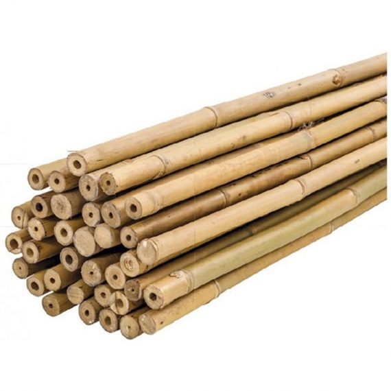 Plantawa Pack 25 Unités Tuteur Bambou Naturel 120cm pour Supporter Plantes 7427244379342 7427244379342