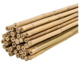 Plantawa - Pack 25 Unités Tuteur Bambou Naturel 90cm pour Supporter Plantes 7427244379571 7427244379571