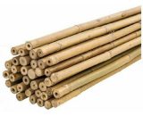 Plantawa Pack 50 Unités Tuteurs Bambou Naturel 60cm pour Supporter Plantes 7427244380072 7427244380072