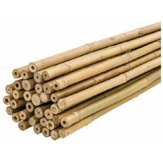 Plantawa Pack 50 Unités Tuteurs Bambou Naturel 60cm pour Supporter Plantes 7427244380072 7427244380072