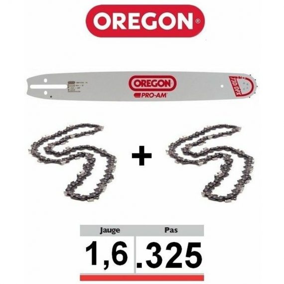 Oregon - Pack 1 guide + 2 chaines tronçonneuse 325 063 SFGD025 | 38cm 5400182954781 556287