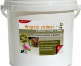 Engrais professionnel rosiers et arbustes vivaces à fleurs - Seau 4 kg 3760266106089 AG-ROSAVI4