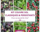 Leaderplantcom - Kit couvre sols classiques et persistants - 3 variétés  1557