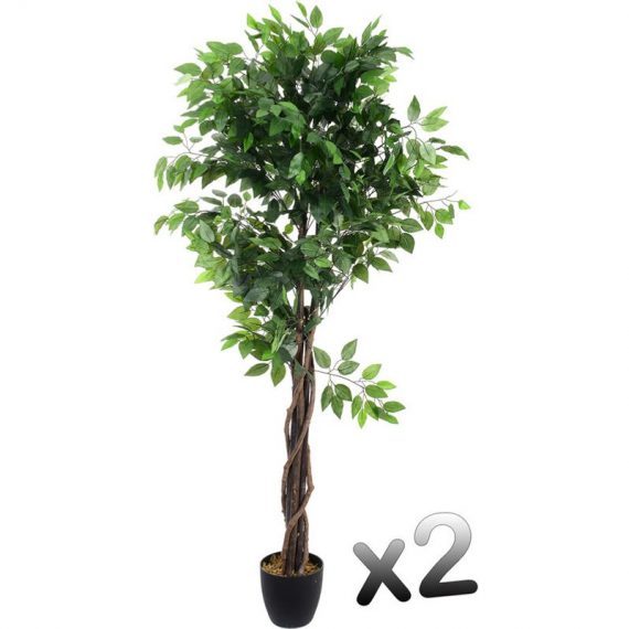 Lot de 2 plantes artificielles Ficus Pot, Hauteur 180 cm - Pegane 6037657272829 22JUS-110341x2