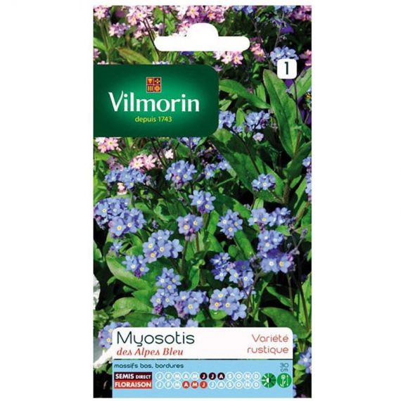 Vilmorin - Sachet graines Myosotis des alpes bleu 3211500009395 5380741