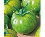 Tomate Verte Green Zebra 3323000082652 3323000082652