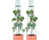 Tomato Tower Lot 2 Pots plantes tomates 25x150x25cm Tuteur polypropylèn - Waldbeck 4260486157728 4260486157728