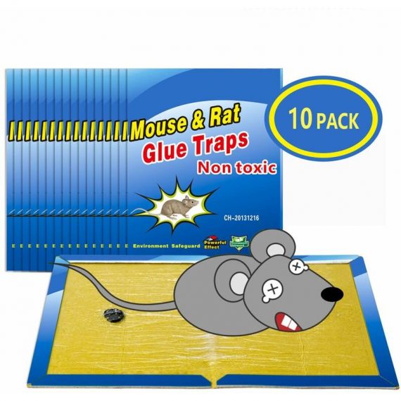 Piège à Souris Pièges à Rats, 10 Plaques Collantes Souris, Plaques de glu Anti Souris Anti Rat - Grande Taille 8'x12'  FLE-6953
