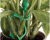 Attache-plantes forme grenouille - lot de 2 Astuceo Vert 3456850816266 408