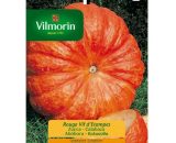 Vilmorin - Graines Pumpkin Rouge Vif D 'Etampes - 7 gr 3182670090417 CM-0000002702