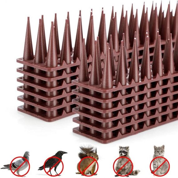 12 pièces pointes d'oiseaux anti-pigeon pointes en plastique anti-escalade clôture mur pointes chat intrus dissuasif répulsif extérieur poignard 2213254386945 IQ-0130
