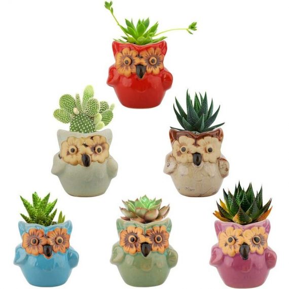6 pièces de pots de plantes succulentes mini hibou pot de fleur en céramique bonsaï en pot cactus cadeau bureau à domicile décoration de table fenêtre 9116691612659 Sun-02241