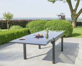 Table de jardin extensible en aluminium noir 8/12 places - Noir 3662251009606 5019